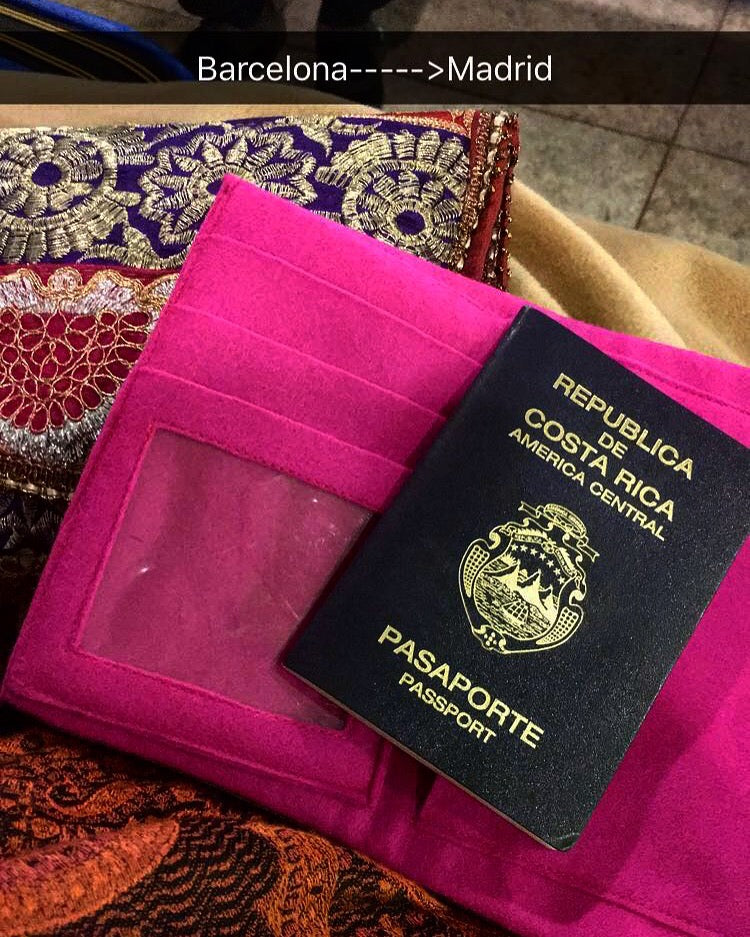P.M. Passport Case 1